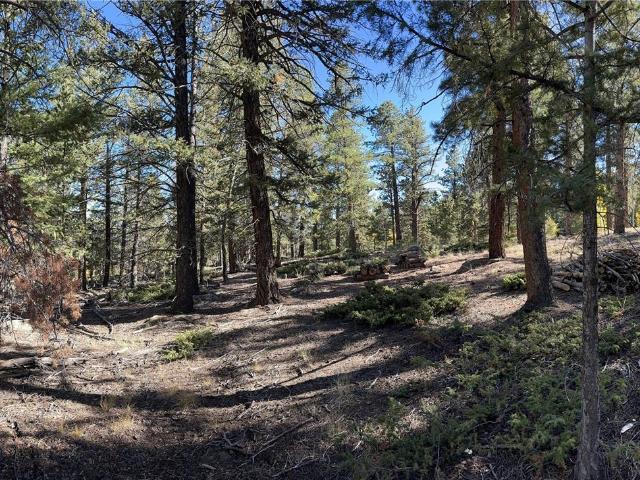 Land for sale in Chaffee, Colorado