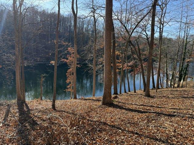 Land for sale in Virginia