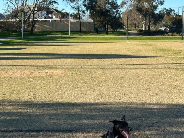 Room for rent in Camerons Creek, Victoria