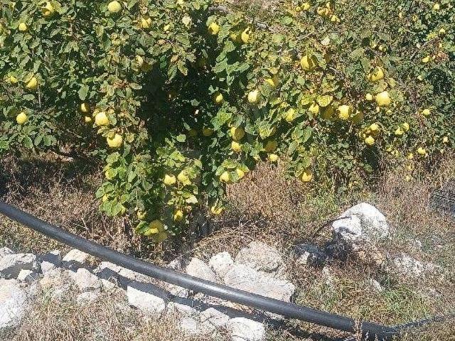 Toroslar, Mersin içerisinde satılık Arsa