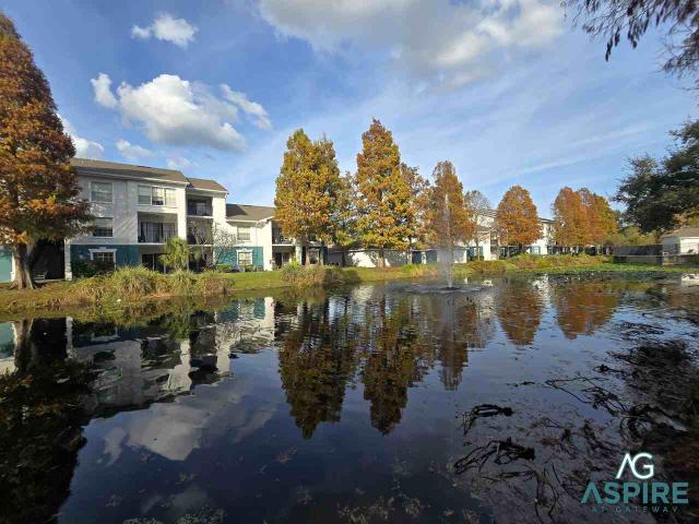 Apartment for rent in Pinellas Park, Florida