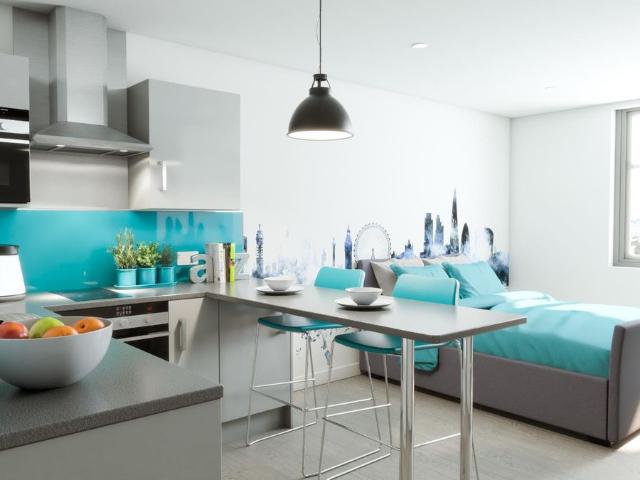 Studio for rent in Pennycomequick, Mount Wise