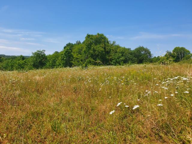 Terrain vente à Libourne, Asques