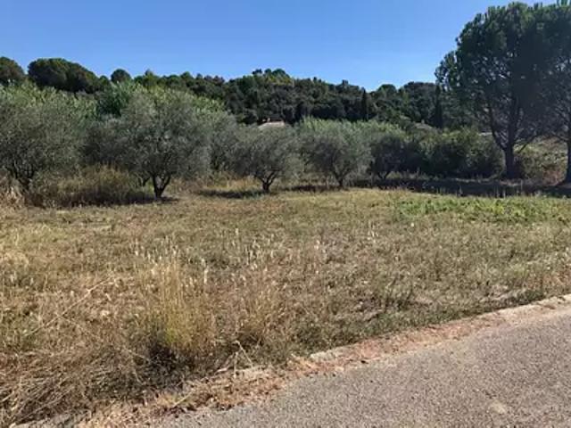 Terrain vente à Assas, Mas du Perdigal