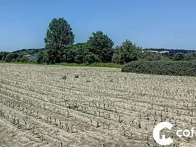 Terrain vente à Pau, Assat