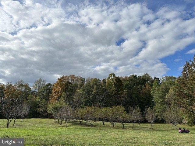 Land for sale in Virginia