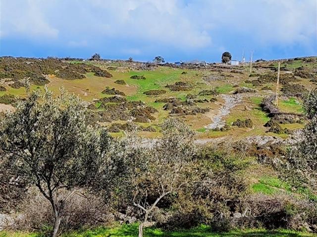 Kızılkeçili, Ayvacık içerisinde satılık mülk