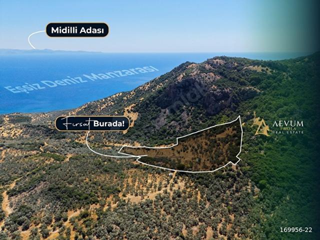Kocaköy, Ayvacık içerisinde satılık mülk