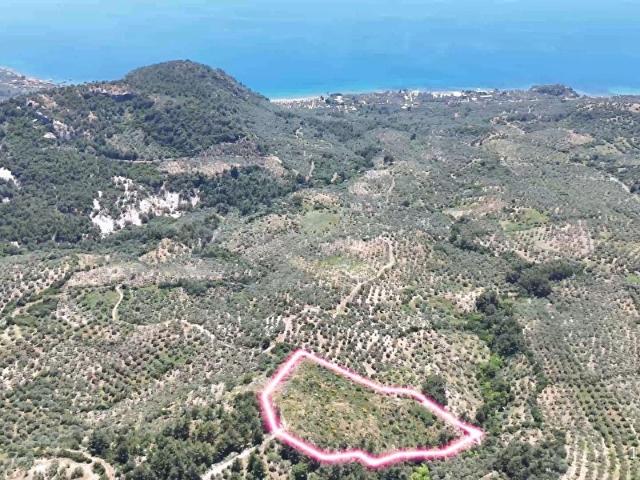 Kozlu, Ayvacık içerisinde satılık mülk