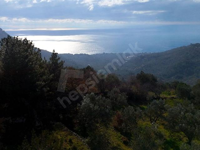 Kayalar, Ayvacık içerisinde satılık Arsa