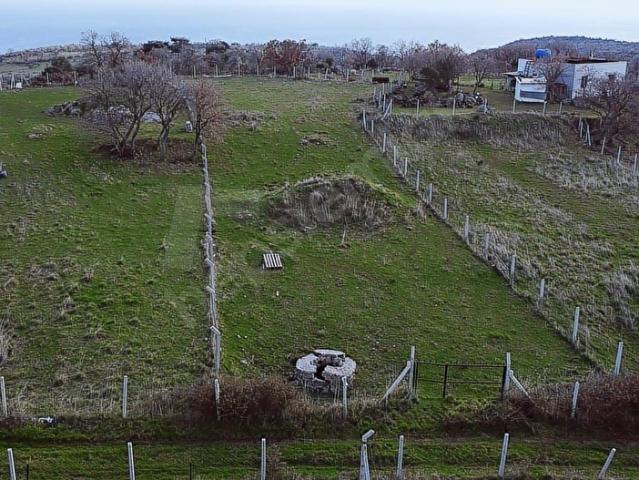Kozlu, Ayvacık içerisinde satılık mülk