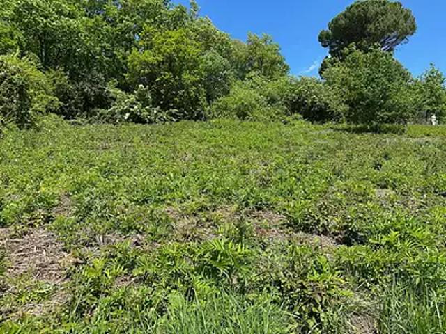 Terrain vente à France métropolitaine, Astaffort