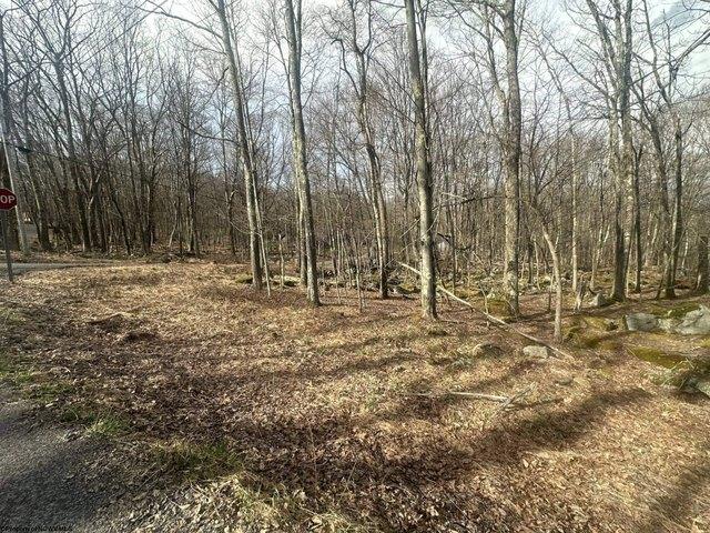 Land for sale in Terra Alta, West Virginia