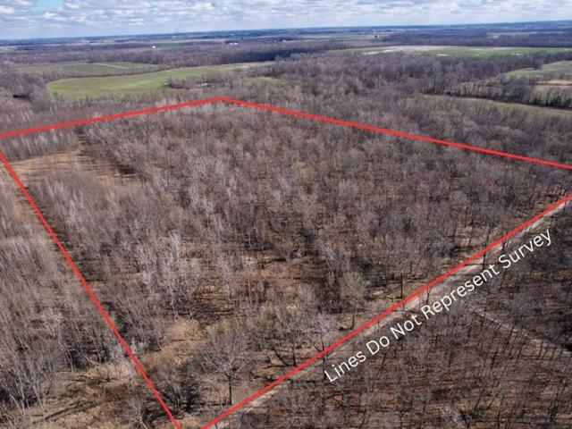 Land for sale in Clay City, Illinois