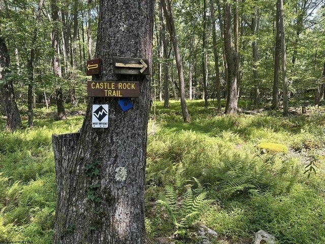 Land for sale in Terra Alta, West Virginia