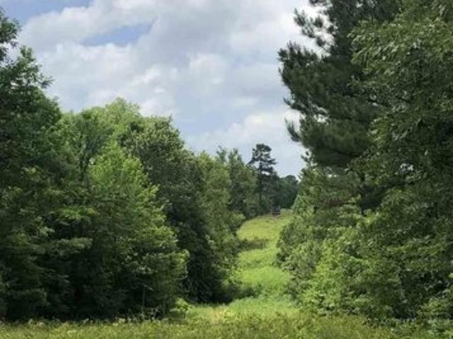 Land for sale in Gilchrist, Texas