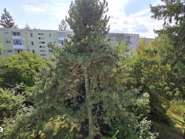Apartament închirieri în Centrul istoric (Cetatea), Brașov