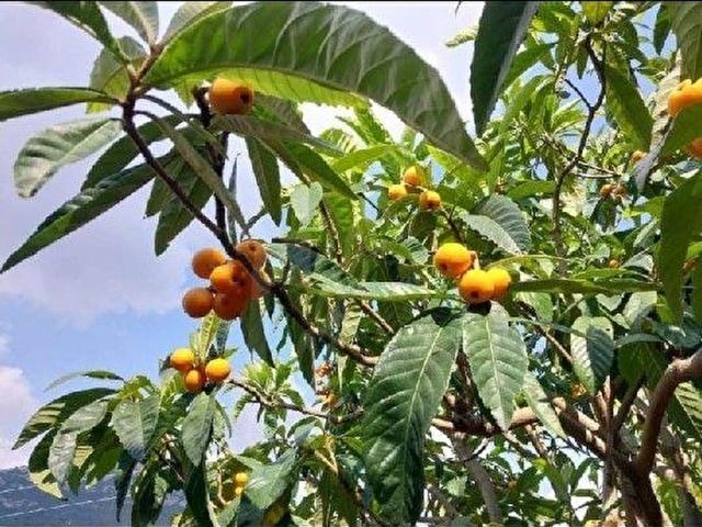 Yenişehir, Mersin içerisinde satılık mülk