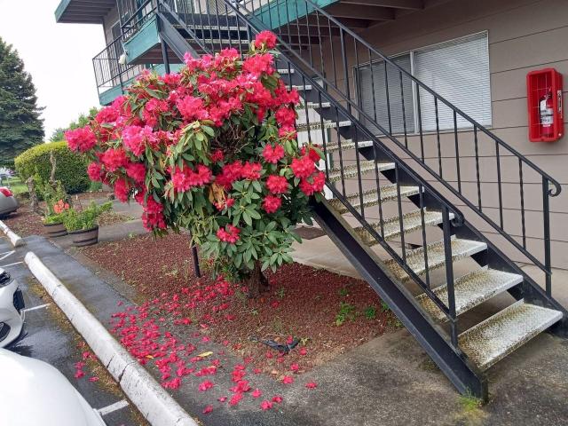 Apartment for rent in Vancouver, Washington