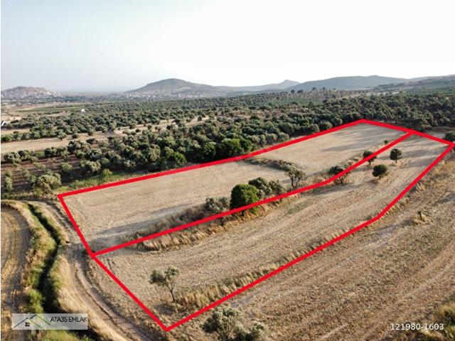 Foça, İzmir içerisinde satılık Arsa