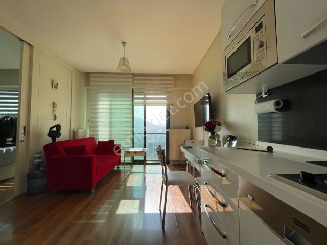 Ataşehir, İstanbul içerisinde kiralık mülk