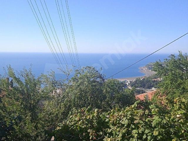 Zonguldak içerisinde satılık Arsa