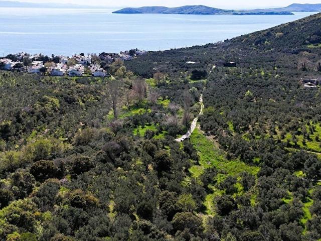 Narlı Mahallesi, Erdek içerisinde satılık mülk