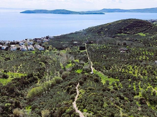 Narlı Mahallesi, Erdek içerisinde satılık mülk