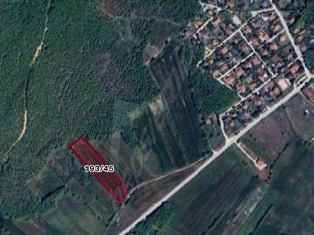 Tokerin Ağılı, Saray içerisinde satılık Arsa