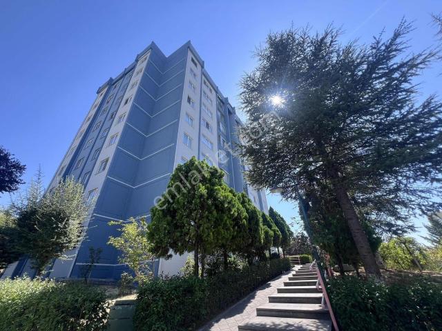 Etimesgut, Ankara içerisinde kiralık mülk