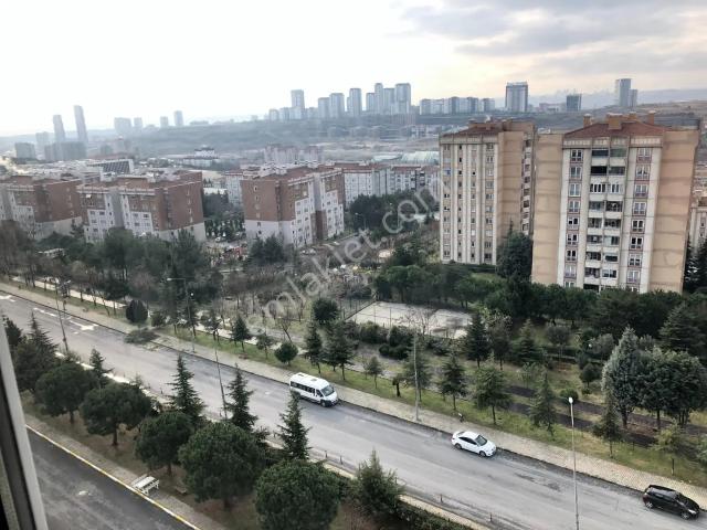 Küçükçekmece, İstanbul içerisinde kiralık mülk