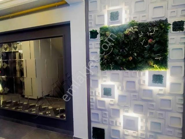 Atakum, Samsun içerisinde kiralık mülk
