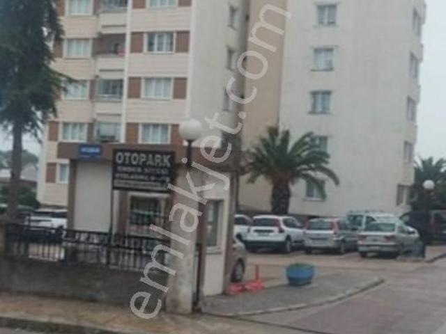 Atakum, Samsun içerisinde kiralık mülk