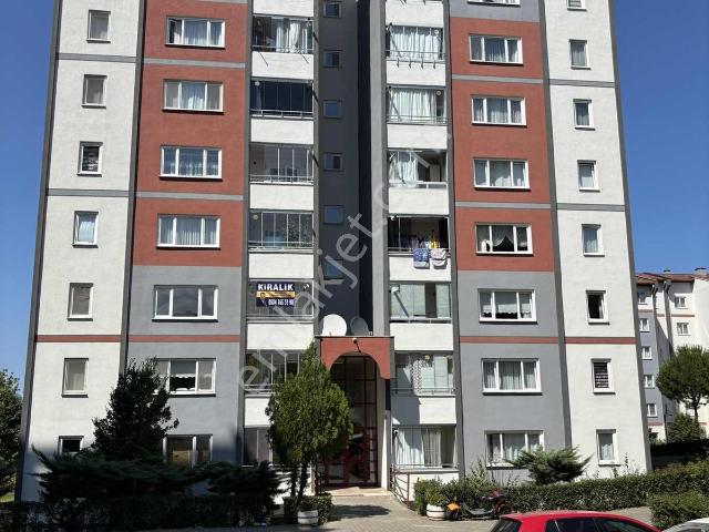 Atakum, Samsun içerisinde kiralık mülk