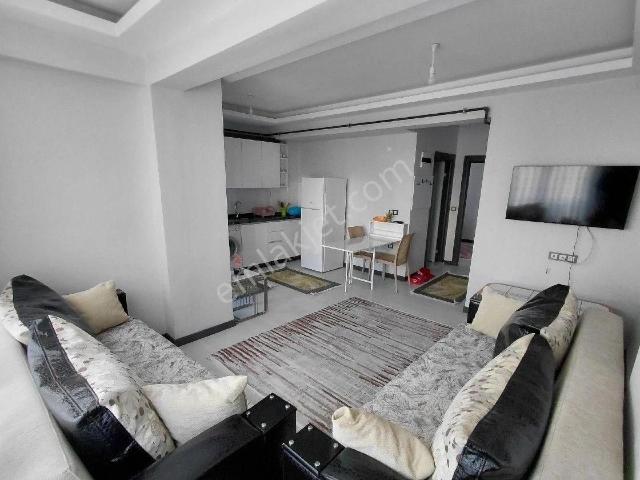 Atakum, Samsun içerisinde kiralık mülk