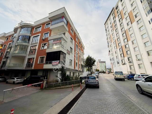 Kurupelit, Atakum içerisinde kiralık mülk