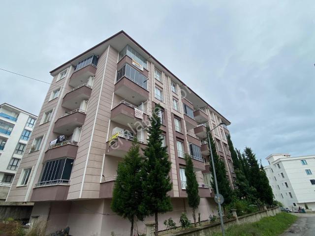 Atakum, Samsun içerisinde kiralık mülk