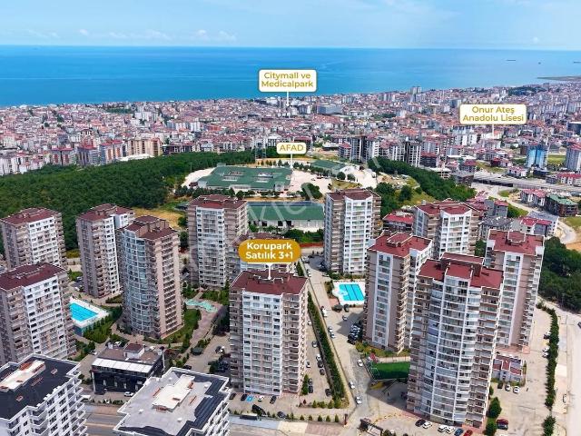 Atakum, Samsun içerisinde satılık mülk