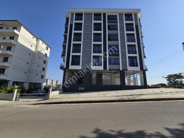 Büyük Oyumca, Atakum içerisinde kiralık mülk