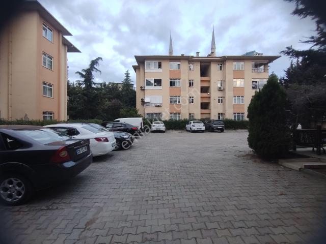 Cevizli Mahallesi, Kartal içerisinde kiralık mülk