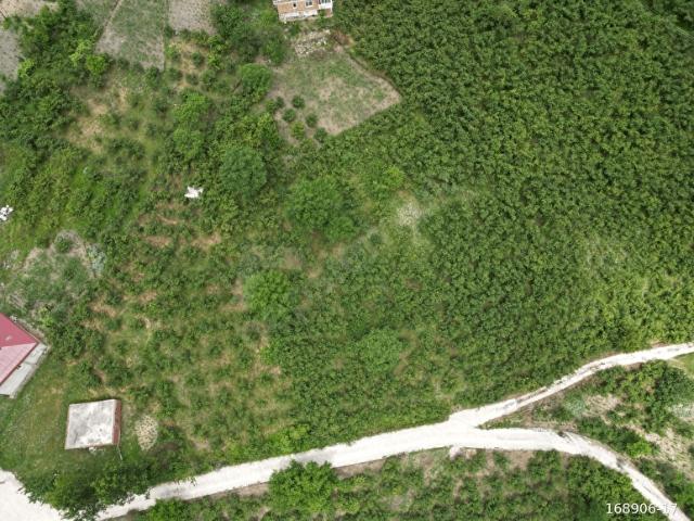 Ordu içerisinde satılık Arsa