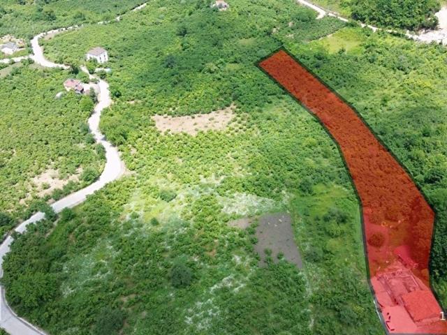 Çatalpınar Mahallesi, Ünye içerisinde satılık Arsa