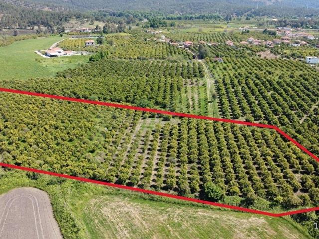 Köyceğiz, Muğla içerisinde satılık Arsa