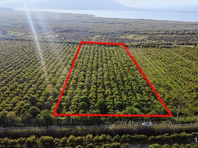 Ortaca, Muğla içerisinde satılık Arsa