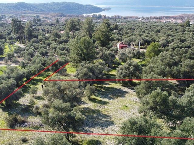Köyceğiz, Muğla içerisinde satılık Arsa