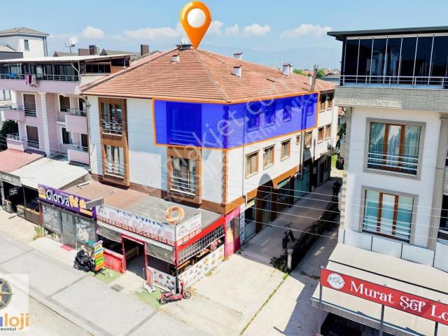 Düzce Merkez, Düzce içerisinde kiralık mülk