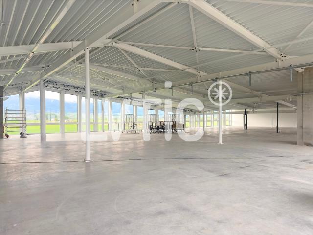 Immobilie mieten in Chavornay, Waadt