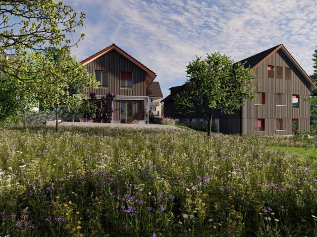 Wohnung kaufen in Pfäffikon, Zürich