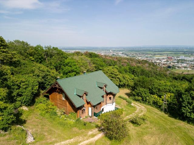 Schloss kaufen in Gumpoldskirchen, Niederösterreich