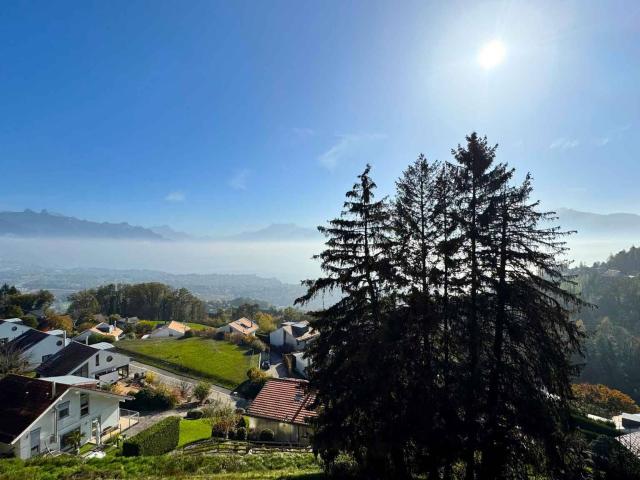 Wohnung kaufen in Jongny, Waadt